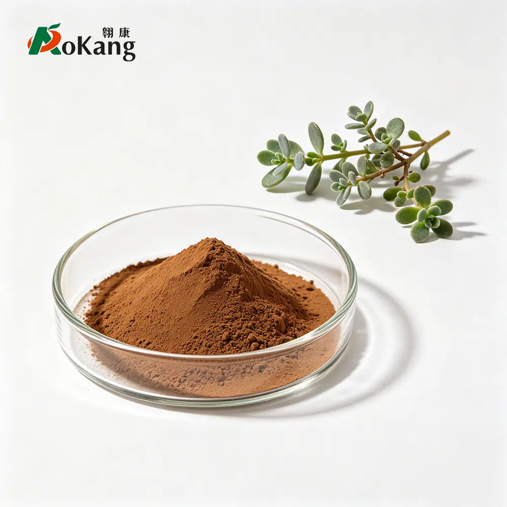 Bulk Bacopa Monnieri Extract